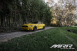 MRR Design FS02 流壓輪轂